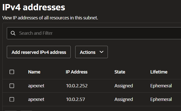 Oracle VCN subnet showing both machines' private IPs on the APEXnet network